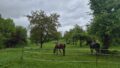 Foto der Immobilie (9869)