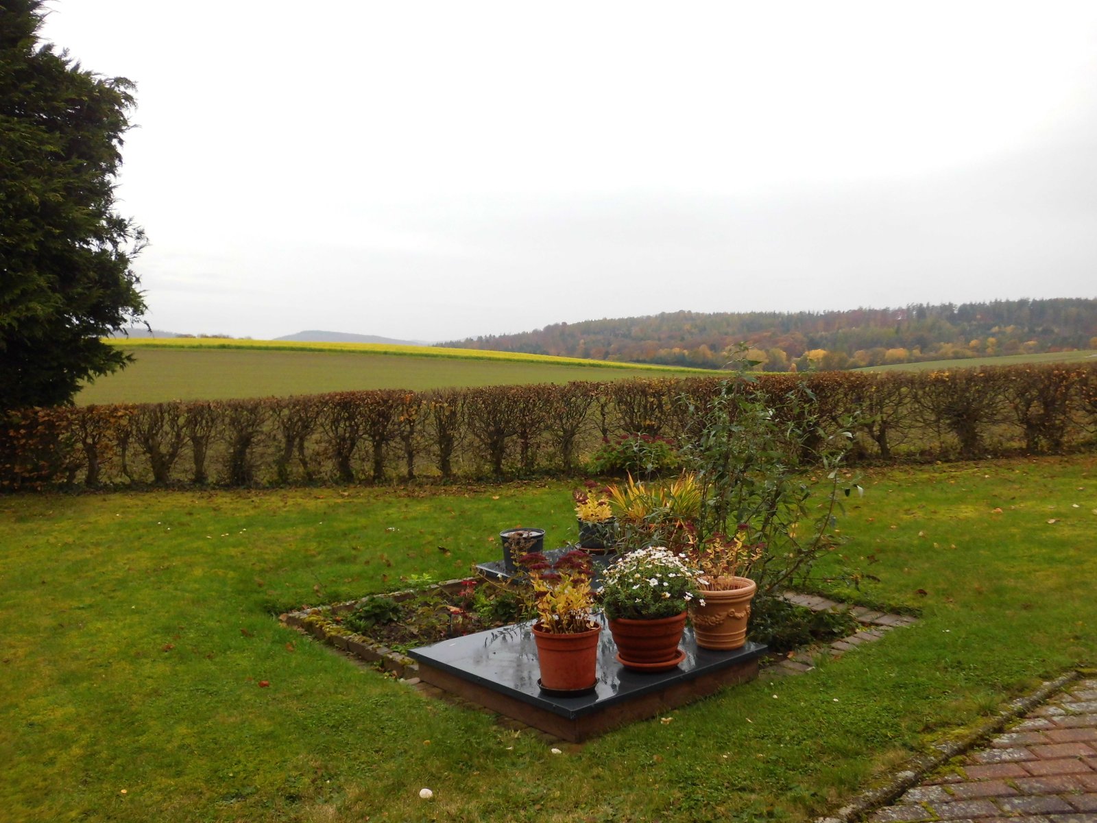 Blick in den Garten