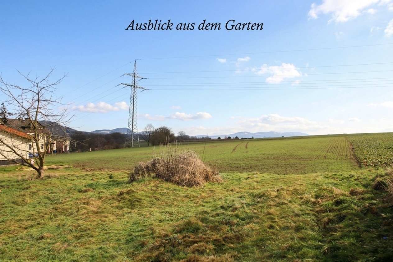 Foto der Immobilie (11232)