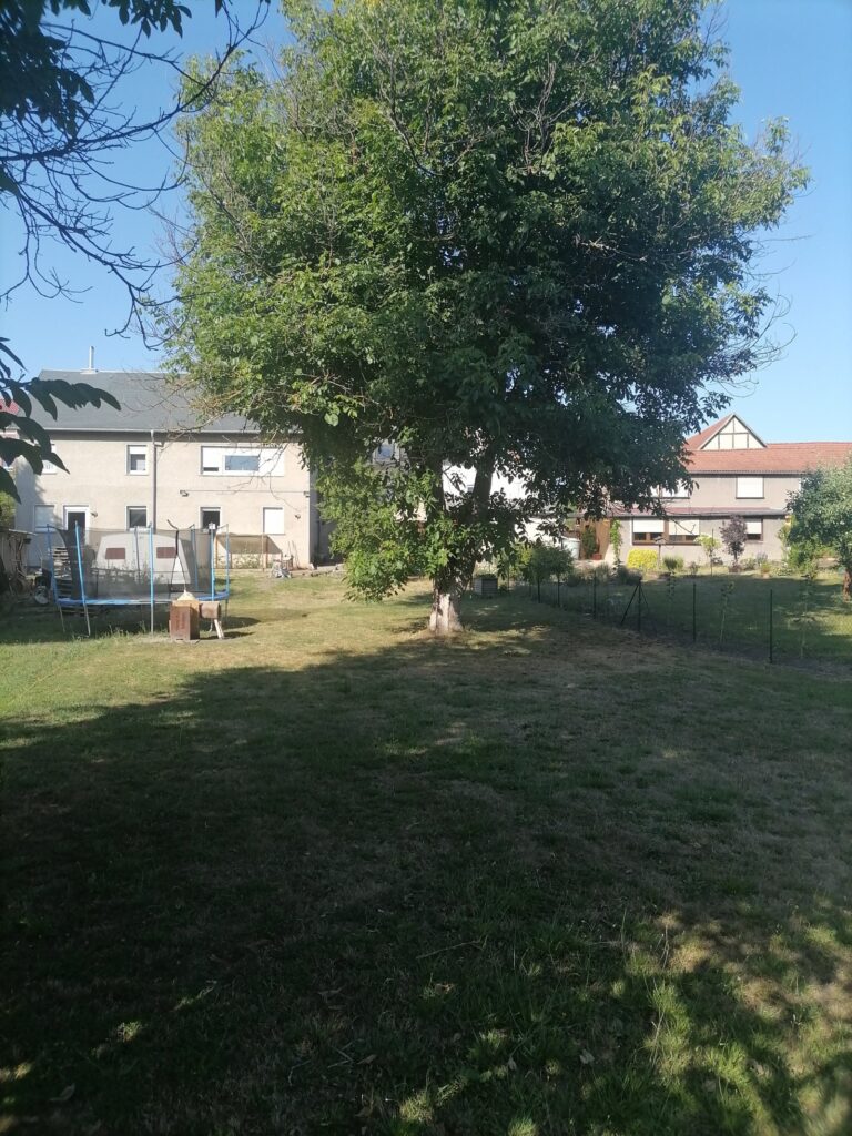 Foto der Immobilie (11402)