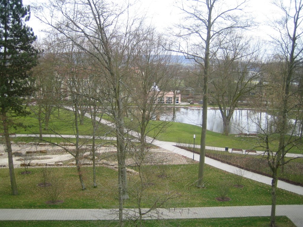 Foto der Immobilie (12404)